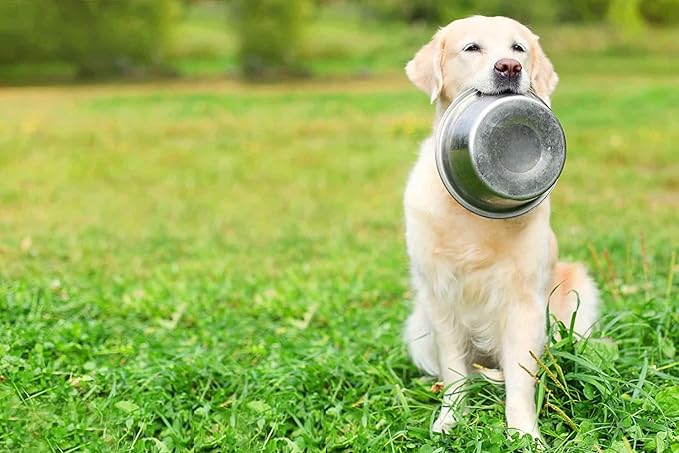 Pack of 3 Stainless Steel Dog Bowl ~ 9" Pet Food and Water Bowls Easy to Clean Metal Dish for Raised Feeder with Opening 8.3-8.8"