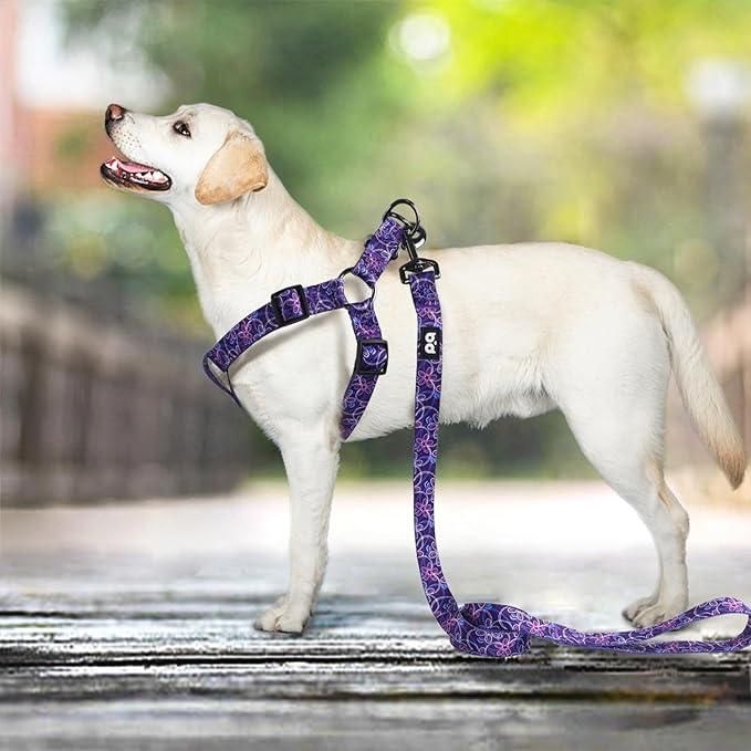 QQPETS Dog Harness Leash Set Adjustable Heavy Duty No Pull Halter Harnesses for Small Medium Large Breed Dogs Back Clip Anti-Twist Perfect for Walking