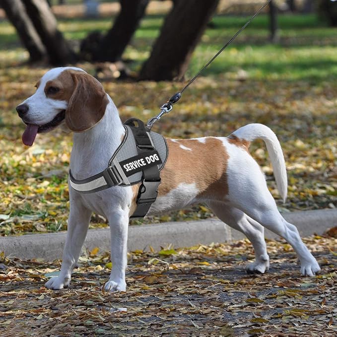 JSXD Dog Harness,No-Pull Service Dog Harness with Handle Adjustable Outdoor Pet Dog Vest 4M Reflective Nylon Material Vest for Breeds,Easy Control for Small Medium Large Dogs