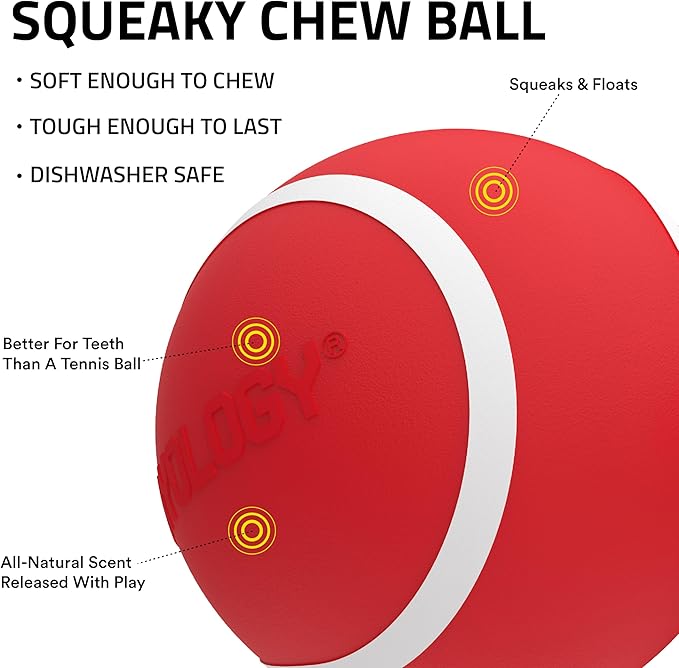 Playology Dog Toys | Rainbow of Scent Chew Toy Gift Box - Medium Squeaky Chew Balls for Dogs | Peanut Butter, Chicken, & Beef Scented Toys - Easy to Clean and Made from Non Toxic Materials