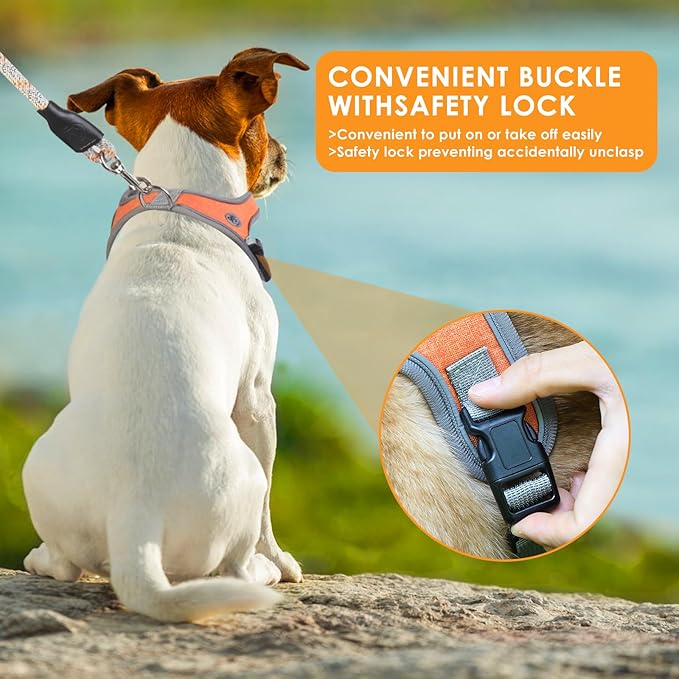 Dog Harness and Leash Set, No Pull Saddle Style Pet Harness, Breathable Mesh Adjustable Reflective Dog Vest for Dogs and Cat Medium Small Harness 2 D-Rings (Orange, M)