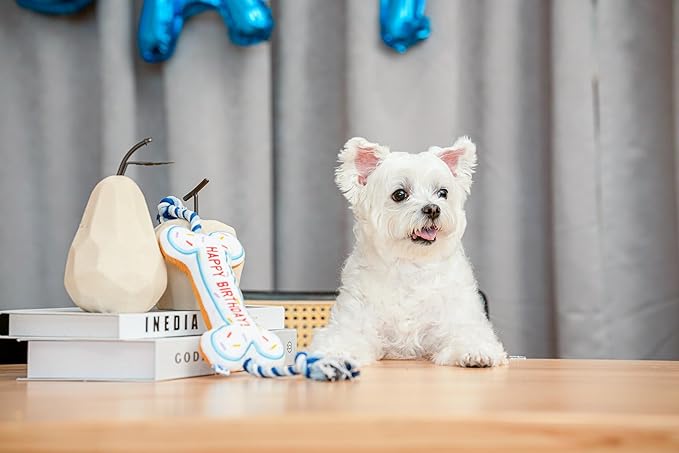Birthday Bone Interactive Dog Toy - Interactive Tug Rope Pet Toy - Cute Unique Design Party Birthday Gift - Small Medium Puppy - Durable Chew Resistant Plush with Squeaker for Teething (Pink)