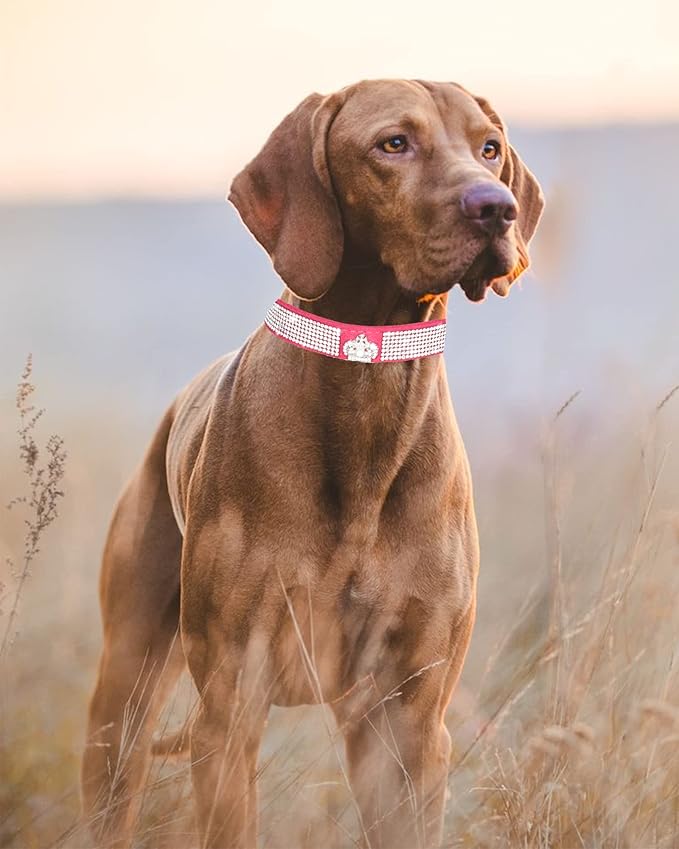 Bling Dog Collar for Small Medium Large Dogs, Crown Rhinestone Dog Collars for Girl and boy Dog, Diamond Puppy Collars, Adjustable Leather Suede SOFE Cat Collar (L(15"-18.1"/38CM-46CM), Rose Red)