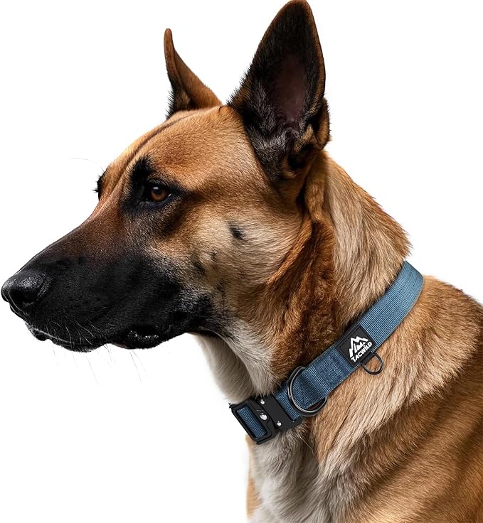 Large Dog Collar Heavy Duty Dog Collars for Medium- Adjustable, Chew Proof Nylon Collar with Metal Quick Release Buckle and D-Ring for Dog Tags (Haze Blue, L)