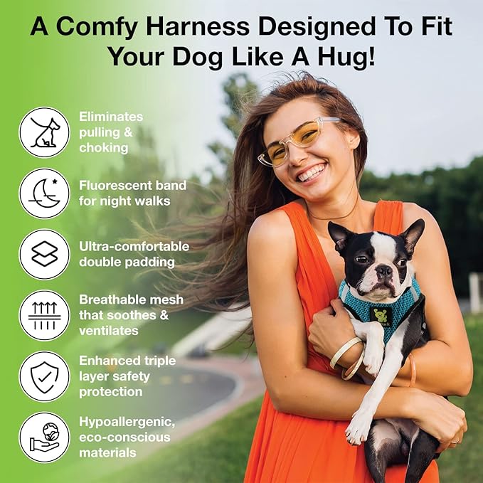 EcoBark Step in Dog Harness - Eco-Friendly Small Breed Dog Harnesses for Small and Medium Breed Dogs - Reflective and Adjustable Body Halter Vest - Soft Mesh Toy Breed Harness (Aqua Sport, Large)