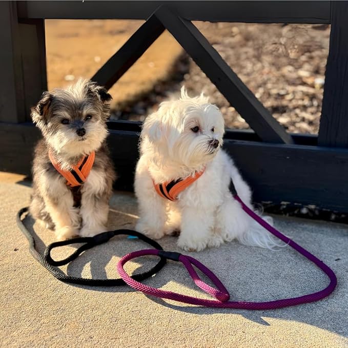 Gooby Mesh Leash - Black, 4 FT - Breathable Mesh 4 Foot Leash for Small Dogs with Bolt Snap Clasp - On The Go Dog Leashes for Small, Medium, and Large Dogs