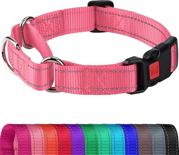 Joytale Martingale Collar for Dogs, Reflective Heavy Duty for Safety, Quick Release Buckle, Adjustable Nylon Collars for Puppy and XSmall Dogs Walking Training, Neon Pink, XS