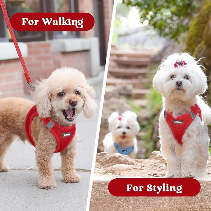 rabbitgoo Small Dog Harness, Step-in Soft Mesh Puppy Vest with Safety Buckle, Breathable Reflective Pet Harness for Small Medium Dogs, Red XL
