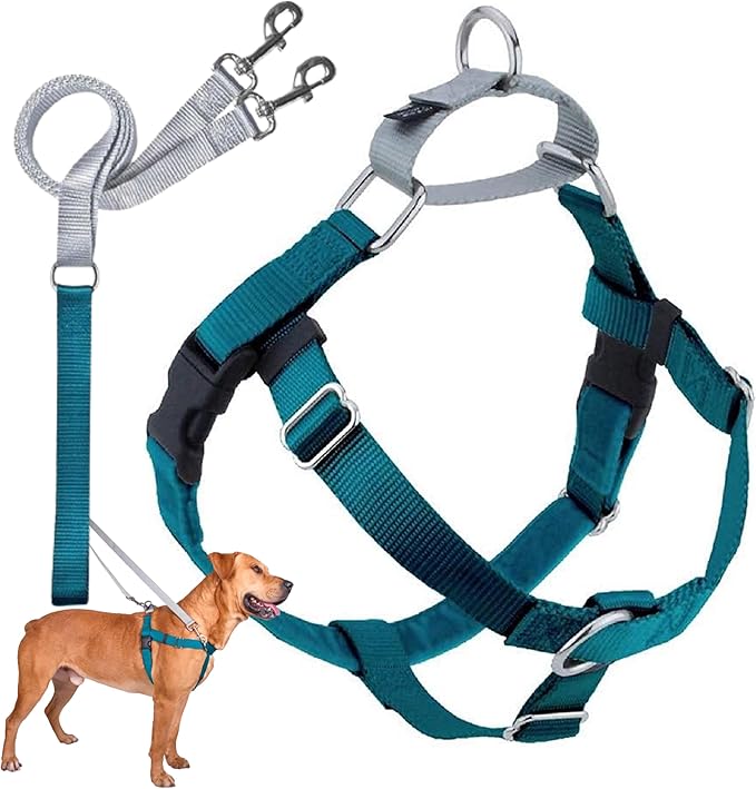 2 Hounds Design Freedom No Pull Dog Harness, Adjustable Harness and Leash Set, Easy Walking & Comfortable Control, Fits Small, Medium & Large Dogs, Solid Colors, Made in USA, 1" LG, Teal
