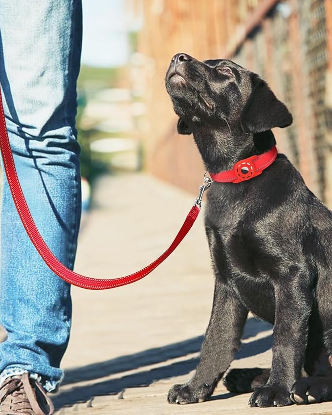 Reflective Dog Leash 4ft Soft Padded Handle Nylon Lead for Small & Medium Dogs, Durable Walking Training Leash for Night Safety (Red,3/4Inch Wide)