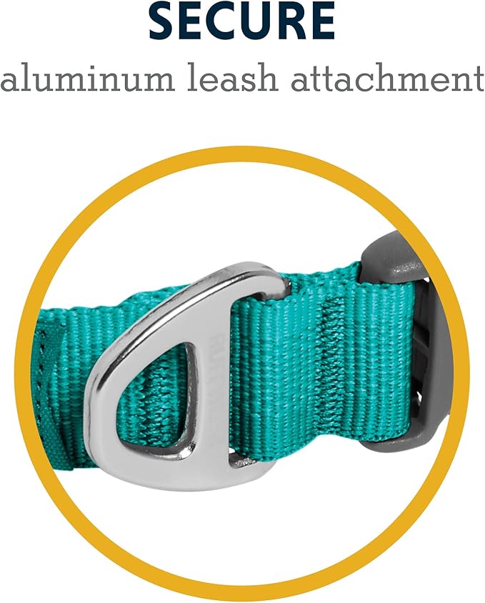 Ruffwear, Front Range Dog Collar, Adjustable Tubelok Webbing, Lightweight, Side Release Buckle, Aluminum V-Ring, Durable for Everyday Use, Aurora Teal, 20"-26"