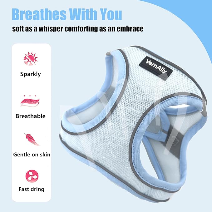 Sparkly Dog Harness Small Sized and Leash Set for Small Dogs Cats,Blue XS Puppy Harness, Step in Soft Dog Reflective Vest, Breathable Mesh Pet Harness. (Blue, XS)