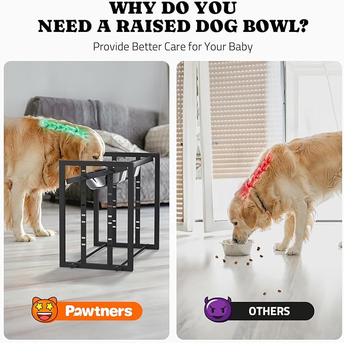 Elevated Metal Dog Bowls for Medium Breed: 4 Height-Adjustable Raised Dog Bowl Feeder Station with 2 Stainless Steel Bowls, Black