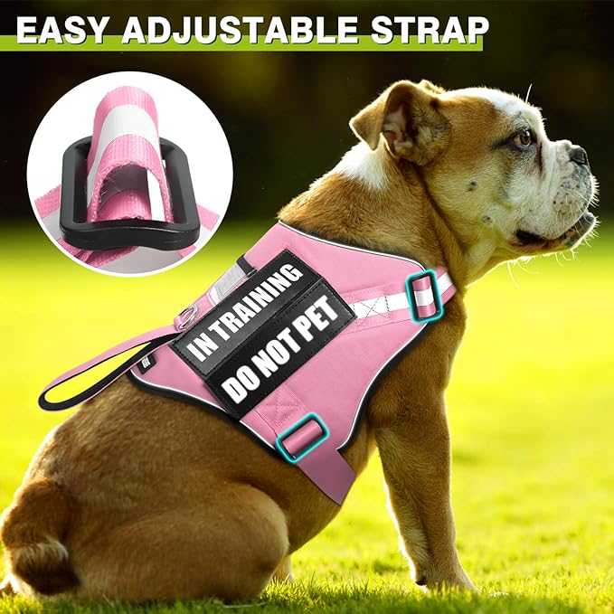 Service Dog Harness and Leash Set, Training Dog Vest with 10 Dog Patches, Emotional Support Therapy Dog Vest Harness for Small Medium Large and Extra Large Dogs(Pink, S)