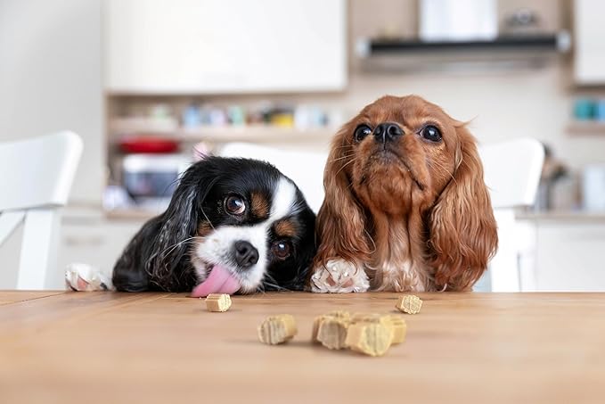 Healthy Dog Reward Treats - Hive Bites - 12 oz. - All Natural Small Dog Bites for Training, Natural Peanut Butter Flavored, Vegetarian Chews, Made in The USA