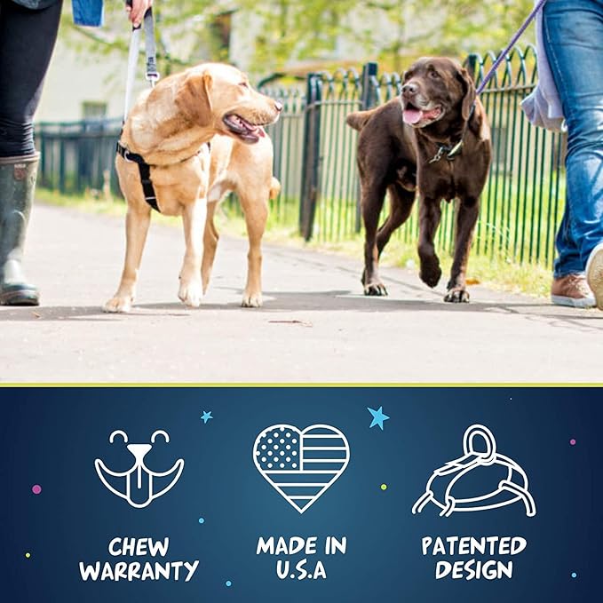 2 Hounds Design Freedom No Pull Dog Harness, Adjustable Harness and Leash Set, Easy Walking & Comfortable Control, Fits Small, Medium & Large Dogs, Solid Colors, Made in USA, 5/8" MD, Kelly Green