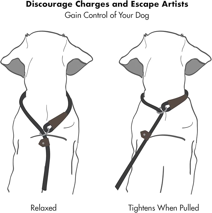 Friends Forever Extremely Durable Dog Rope Leash, Premium Quality Training Slip Lead, Reflective, Thick Heavy Duty, Sturdy, No Pull, Comfortable For The Strong Large Medium Small Pets 6 feet, Olive