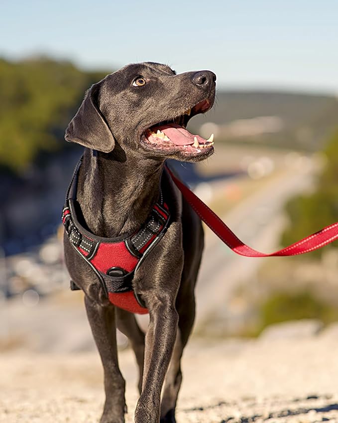 Joytale No Pull Dog Harness for Small Dogs, Reflective Pet Vest with Front Clip, Adjustable Soft Padded Harnesses with Easy Control Handle for Training and Walking, Red, S