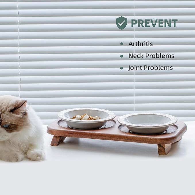 Raised Double Cat Dishes Set with Acacia Wood Stand, Ceramic Food & Water Bowls for Cats, Puppy, Kitty, Cat Feeder, Prevent Whisker Fatigue(Double Bowls+Stand, Arctic White)