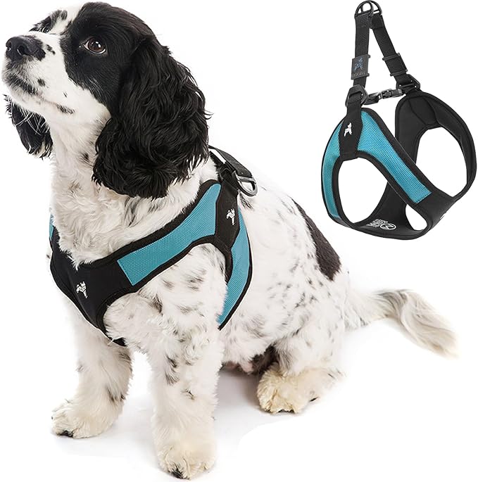 Gooby Escape Free Easy Fit Harness - Turquoise, Large - No Pull Step-in Patented Small Dog Harness with Quick Release Buckle - Perfect On The Go No Pull Harness for Small Dogs or Medium Dog Harness