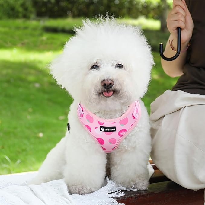 Dog Harness and Leash Set, Adjustable Dog Harness, Dog Leash, No Pull No Choke Puppy Harnesses for Walking Training for Small Medium Pet (Strawberries, XS(Chest 9.9-13.5", Neck 7.8-10.2"))