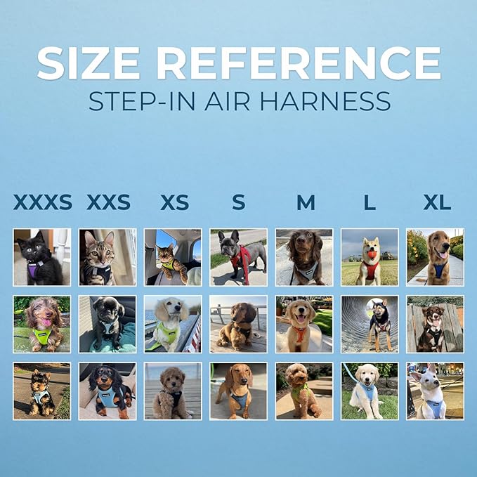 Best Pet Supplies - All Weather Mesh/Plush, Reflective, No Pull Harness for Small, Medium Dogs, Cats - Secure with Hook & Loop Fastener, Buckle, Double D-Rings - Turquoise 2-Tone, XL