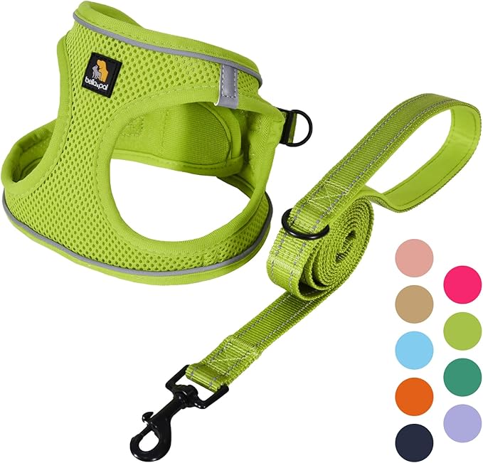 BELLA & PAL Step in Vest Harness for Small and Medium Dogs, No Pull Small Dog Harness with Leash Set, Comfortable Air Mesh Dog Vest Harness with Reflective Strip (Avocado Green, XXS)
