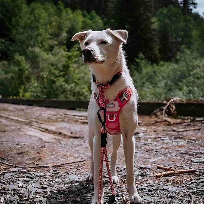Auroth Tactical Pet Harness for Small Medium Large Dogs No Pull Adjustable, Reflective K9 Working Training Easy Control Vest Military Service Dog, Medium, Pink Camo