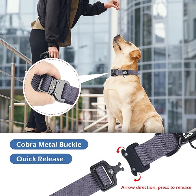 Dog Collar for Large Dogs - Adjustable, Chew Proof Nylon Collar with Metal Quick Release Buckle and D-Ring for Dog Tags (Montana Moonrise)