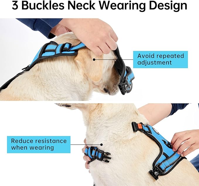 IVY&LANE No Pull Dog Harness for Large Dogs, Dog Vest Harness with Leash, Safety Belt and Storage Strap, Fully Adjustable Harness, 360° Reflective Strip, Soft Handle (Blue, L)