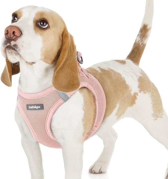 rabbitgoo Small Dog Harness, Step-in Soft Mesh Puppy Vest with Safety Buckle, Breathable Reflective Pet Harness for Small Sized Dogs, Pink M