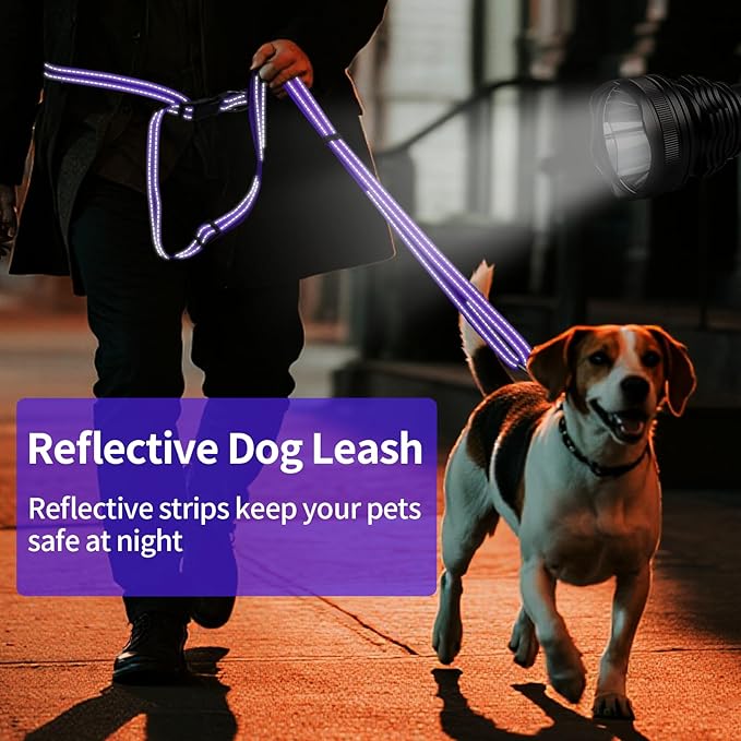 Kazazoo Hands-Free Dog Leash Adjustable Length 5-8 Ft, Waist for Dog Walking, Running for Small &Medium Dogs with Reflective Strips, Ballistic Nylon, Waist Belt, Lightweight Purple