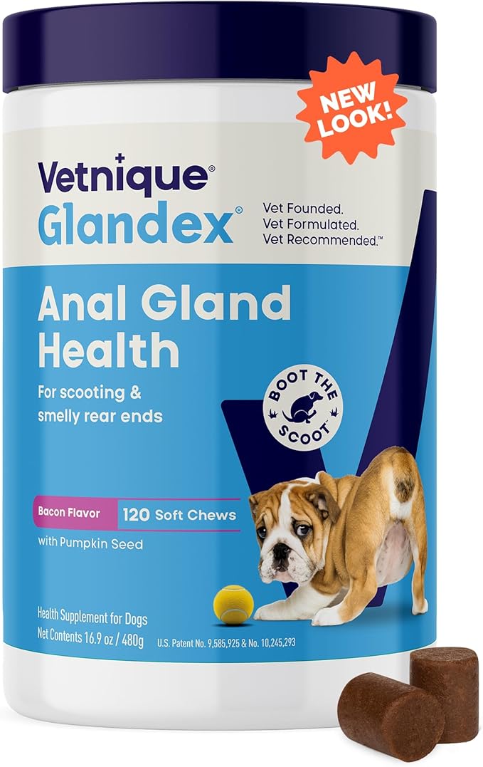 Vetnique Glandex Anal Gland Soft Chew Treats with Pumpkin for Dogs Digestive Enzymes, Probiotics Fiber Supplement for Dogs Boot The Scoot (Bacon Flavor Chews, 120 Count)