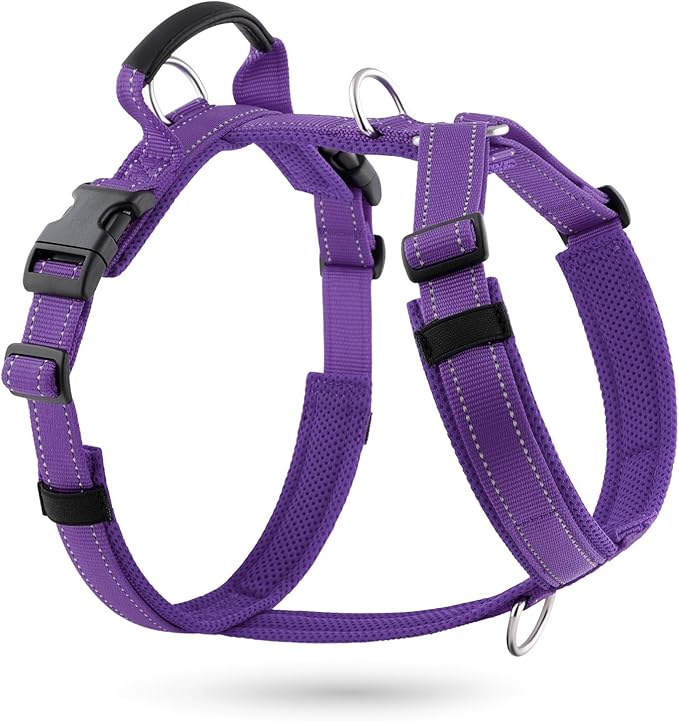 No Pull Dog Harness with Handle, Soft Mesh Padded Adjustable for Small Medium Large Dogs | Reflective Easy Walk Harness with Front Clip for Training, Running & Outdoor (Purple, XL)