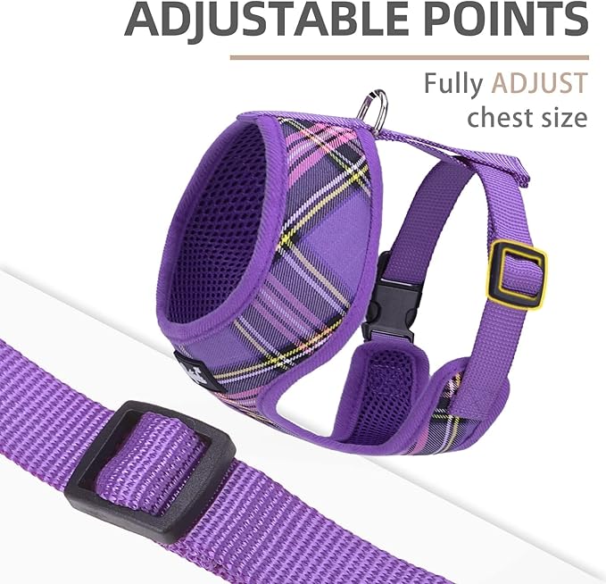 PUPTECK Soft Mesh Dog Harness and Leash Set Pet Puppy Cat Comfort Padded Vest No Pull Harnesses, Purple, M