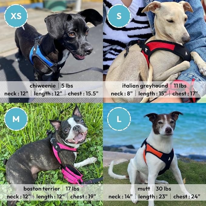 Gooby Escape Free Easy Fit Harness - Black, Large - No Pull Step-in Patented Small Dog Harness with Quick Release Buckle - Perfect On The Go No Pull Harness for Small Dogs or Medium Dog Harness