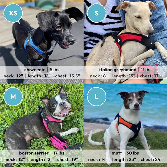 Gooby Escape Free Easy Fit Harness - Turquoise, Large - No Pull Step-in Patented Small Dog Harness with Quick Release Buckle - Perfect On The Go No Pull Harness for Small Dogs or Medium Dog Harness