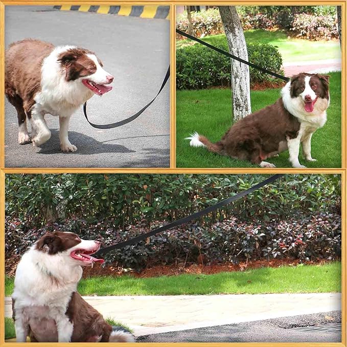 AMAGOOD 6 FT Cat Leash, Strong and Durable Traditional Style Leash with Easy to Use Collar Hook,Cat Lead Great for Cats (3/4 in x 6 ft,Black and Black(2-Pack))