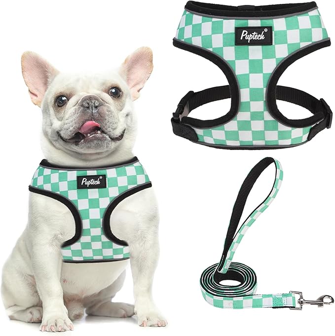 PUPTECK Soft Mesh Dog Harness and Leash Set Pet Puppy Cat Comfort Padded Vest No Pull Harnesses, Checkered Green&White, M