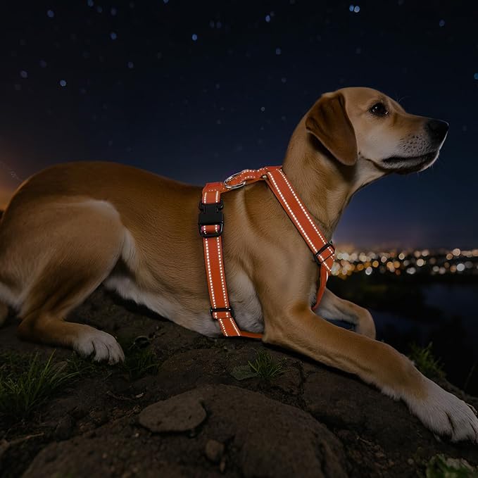 Dog Seat Belt Harness for Car, Dog Car Harness Adjustable Mesh Breathable & Dogs Seatbelt Safety Tether with Elastic Bungee for Small Medium Large Pets(Orange, S)
