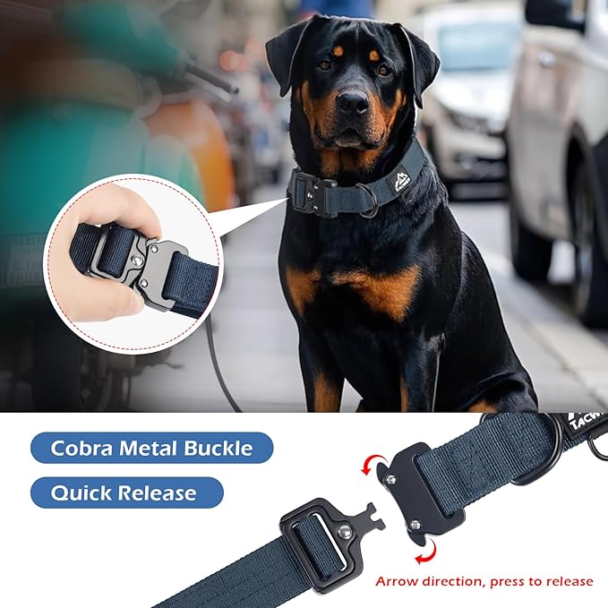 Medium Dog Collar Boy Girl - Adjustable, Chew Proof Nylon Collar with Metal Quick Release Buckle and D-Ring for Dog Tags (Navy Blue, M)