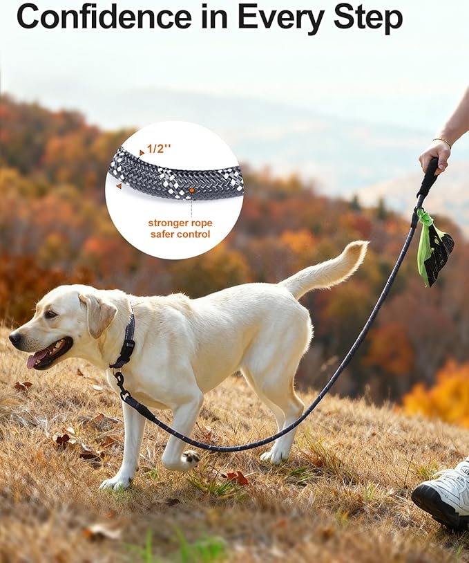 Joytale Dog Leash for Large Dogs, Heavy Duty Nylon Leashes with Comfortable Padded Handle and Highly Reflective Threads, Ideal for Walking and Training, Gray, 5'횞1/2''