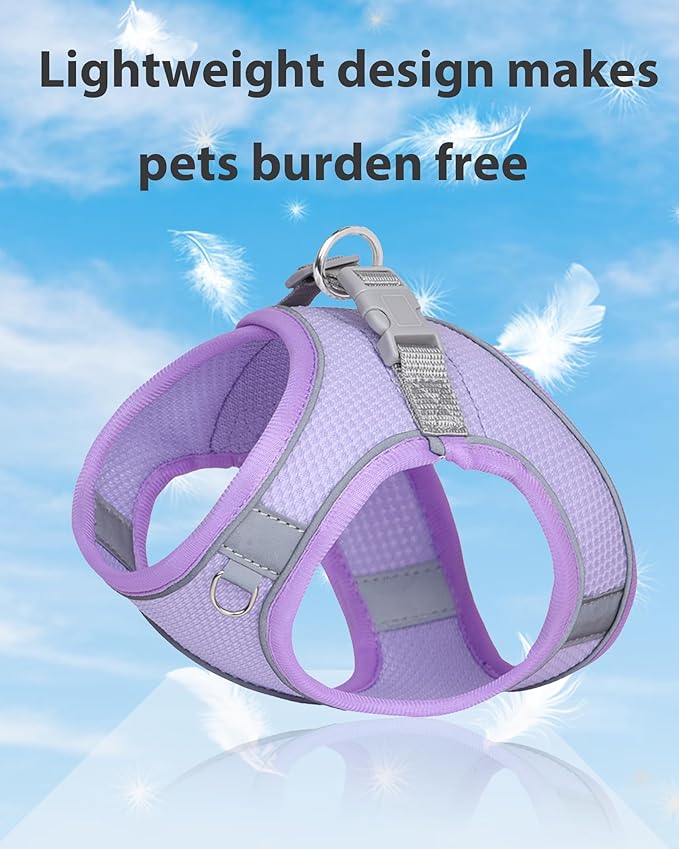 Dog Harness and Leash Set for Small Medium Dogs, Puppy Harness, Purple, M