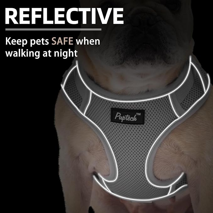 PUPTECK Small Dog Harness and Leash Set, No Pull Adjustable Puppy Cat Harness, Reflective Soft Mesh Pet Vest Small Sized, Grey, M