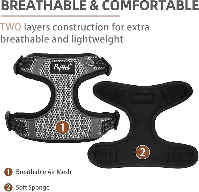 PUPTECK Dog Harness and Leash Set Small Sized, Step in No Pull Adjustable Puppy Cat Harness Reflective Pet Vest