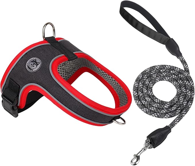 Dog Harness and Leash Set, No Pull Saddle Style Pet Harness, Breathable Mesh Adjustable Reflective Dog Vest for Dogs and Cat Medium Small Harness 2 D-Rings (Black, M)