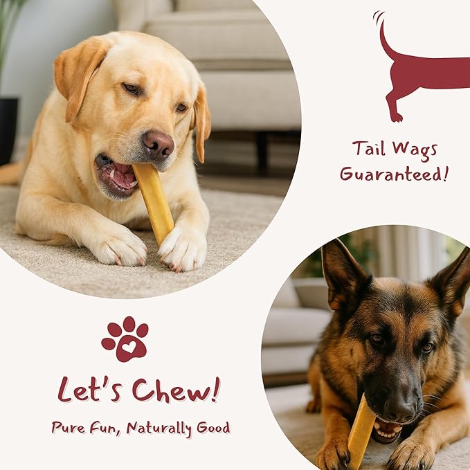 Majestic Pet Himalayan All-Natural Yak Style Cheese Dog Chews Made with 100% Cows Milk- Long Lasting Dental Chew for Dogs - Healthy Pet Treats (Dental & Bone Support, Regular, 1 Pack)