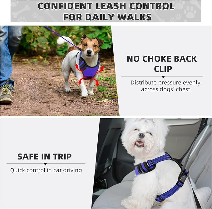 No Pull Dog Harness with A Free Heavy Duty 5ft Dog Leash, Adjustable Soft Padded Dog Vest, Reflective No-Choke Pet Oxford Vest with Easy Control Handle for Small and Large Dogs (Blue, Small)