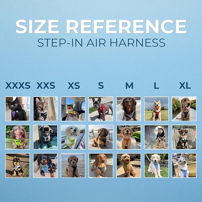 Best Pet Supplies - All Weather Mesh / Plush, Reflective, No Pull Harness for Small, Medium Dogs, Cats - Secure with Hook & Loop Fastener, Buckle, Double D-Rings - Blue/Black Trim, XL