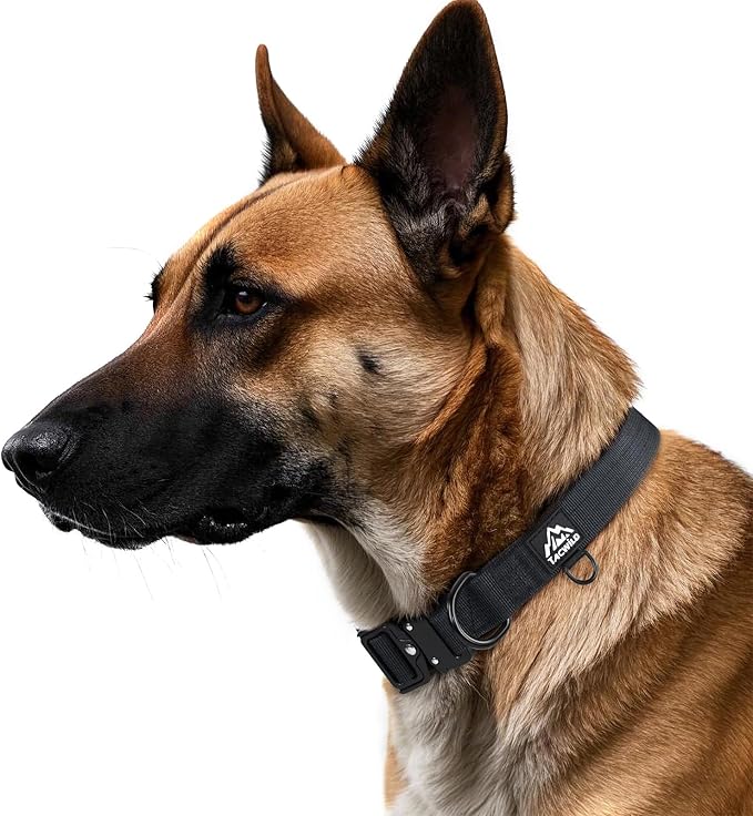 Dog Collar for Large Dogs - Adjustable, Chew Proof Nylon Collar with Metal Quick Release Buckle and D-Ring for Dog Tags (New York Afterlight)
